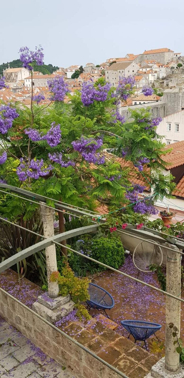 Villa Ani Apartment Ariel Dubrovnik Exterior photo